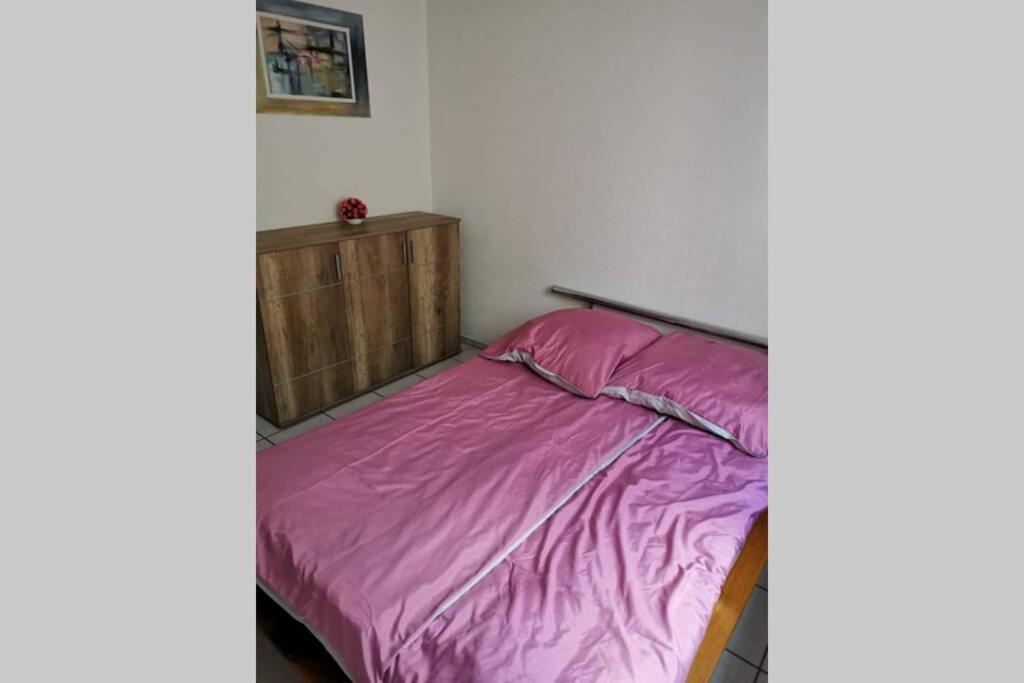 Ferienwohnung In Singen Am Hohentwiel - Seenah Exterior photo
